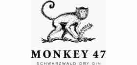 monkey-47_logo