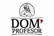 domprofesor_logo